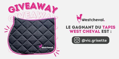 Gagnant giveaway